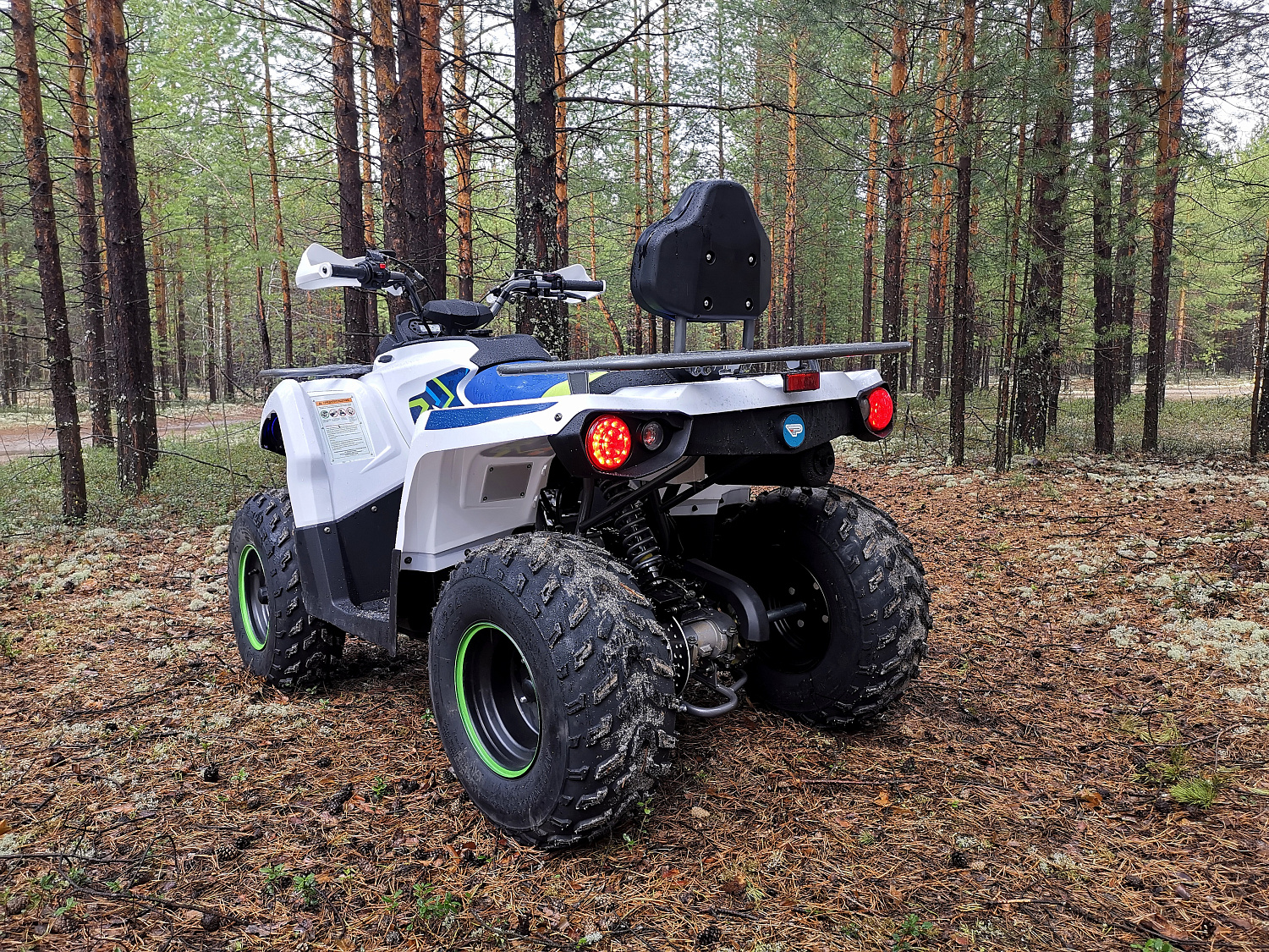 Квадроцикл PROMAX RENEGADE 280 (2025) в Братске