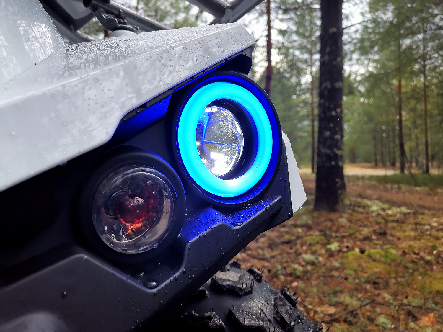 Квадроцикл PROMAX RENEGADE 280 (2025) в Братске